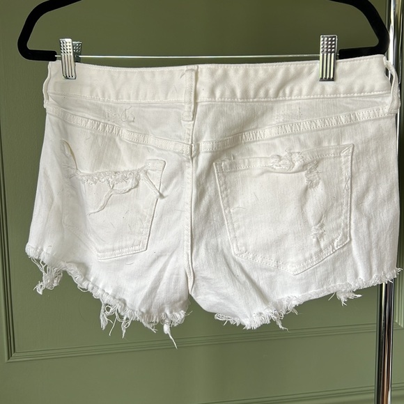 Express Shorts - Stretch - Picture 2 of 2